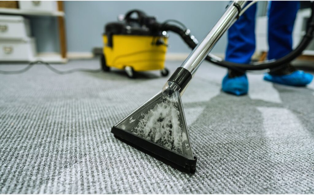 limpieza de alfombra
