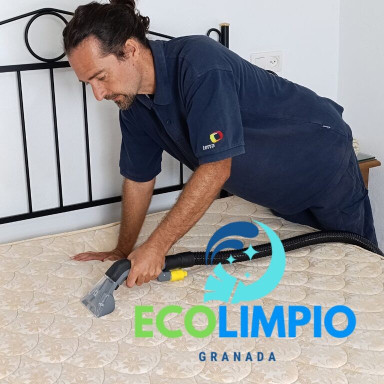 Limpieza de tapicería en granada