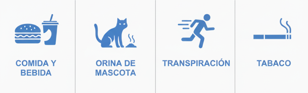 limpieza de sofás en granada